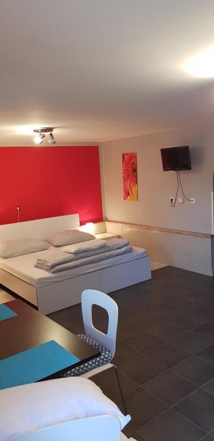 Apartment Borna Pazin Bagian luar foto